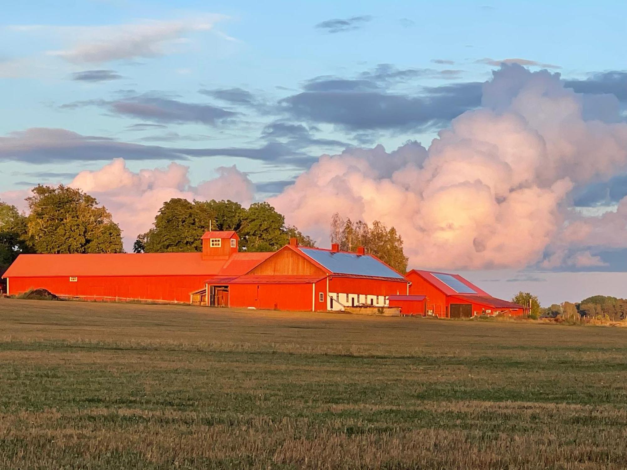 Kroksta Gard Balinge Bagian luar foto